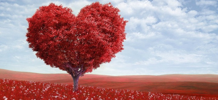 Amore platonico: che significa e perché si dice così