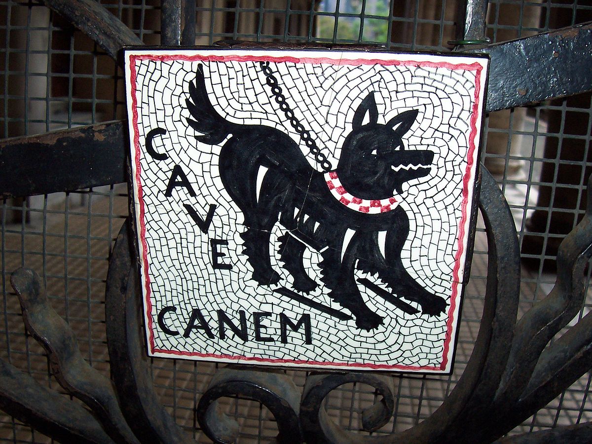 Cave canem: che significa e dove lo abbiamo sentito