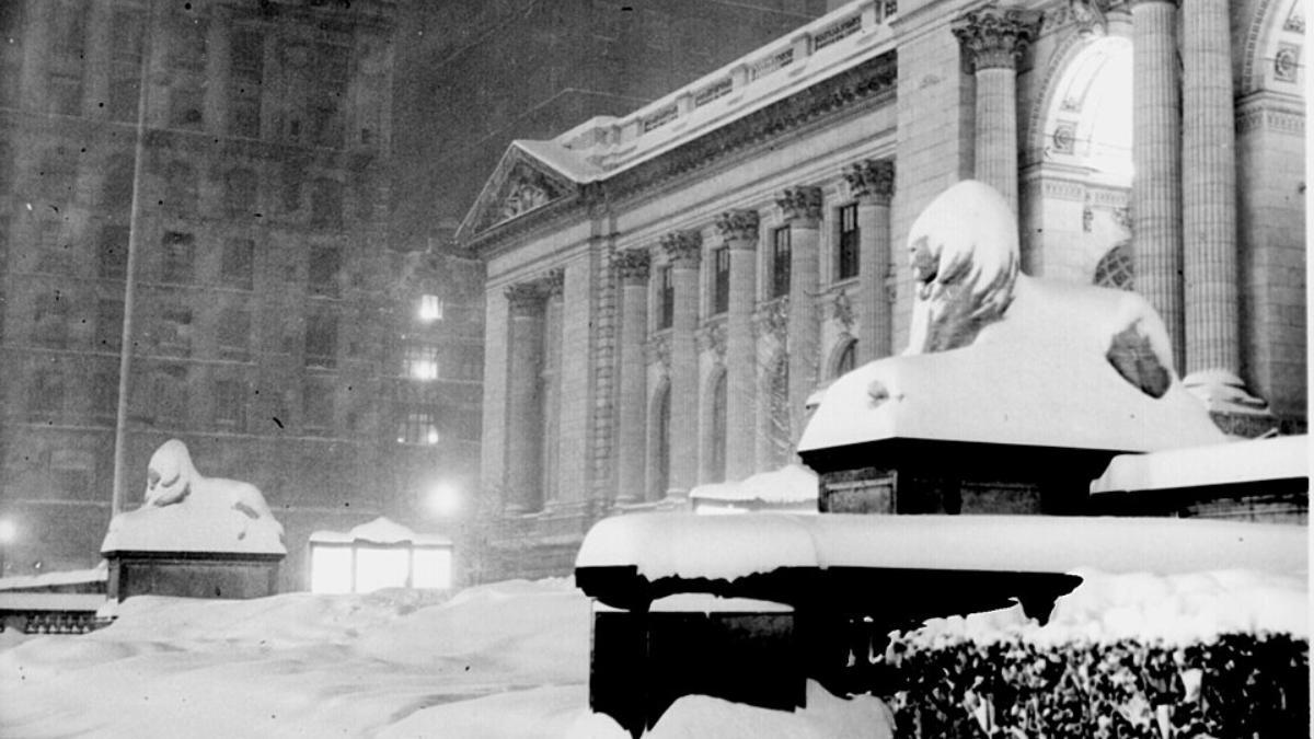 Patience e Fortitude, i leoni della Public Library di New York, compiono 115 anni