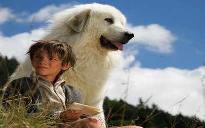 “Belle & Sebastien”: stasera in tv il film tratto dai romanzi di Cécile Aubry 