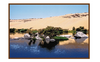Sfumature del deserto