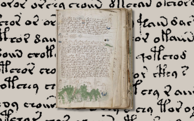 Il Manoscritto Voynich: l'enigma indecifrabile che sconvolge la crittografia da oltre un secolo