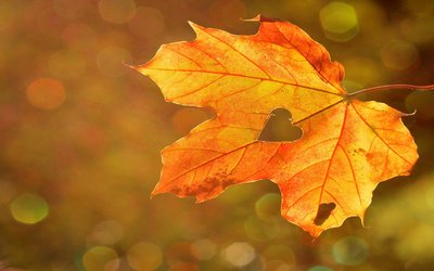“Sole d'ottobre”: l'elogio dell'istante presente nella poesia di Ada Negri