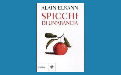 Spicchi di un'arancia