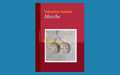 Mosche