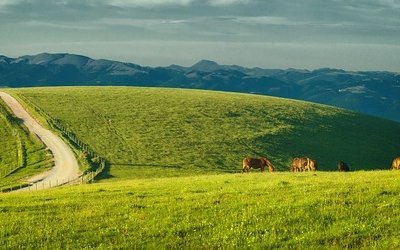 “L'Appennino” di Pier Paolo Pasolini: analisi e commento del poemetto