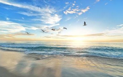 “Ombre d'ali”, la poesia che Ada Negri dedicò al mese di giugno