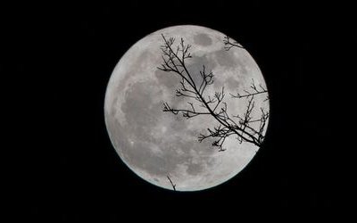 Ciàula scopre la luna: riassunto e commento della novella di Pirandello