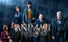 Animali Fantastici 2: questa sera su Italia 1 I crimini di Grindelwald
