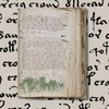 Il Manoscritto Voynich: l'enigma indecifrabile che sconvolge la crittografia da oltre un secolo