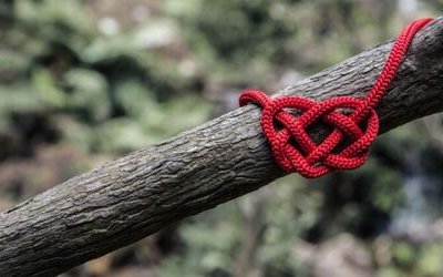 Fil rouge: cos'è e perché si dice così