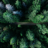 Il rapporto tra uomo e natura in Henry David Thoreau