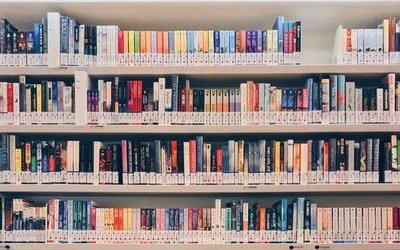 La biblioteca è solo un luogo dove si prendono libri in prestito?