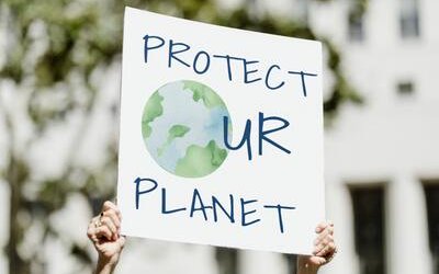 Cambiamento climatico, dalle proteste alla letteratura: 6 libri da leggere