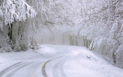 “Nevicata” di Giosuè Carducci: una poesia di amore e morte
