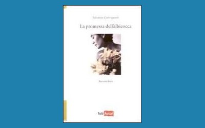 La promessa dell'albicocca