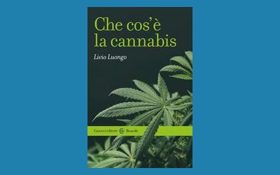 Che cos'è la cannabis