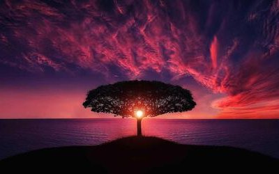 “L'altrove”: il sogno lucido in poesia di Fernando Pessoa 