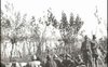 Eroi e poveri diavoli della Grande Guerra