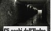 Gli occhi dell'Hydra