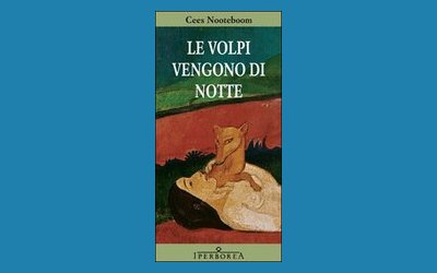 Le volpi vengono di notte