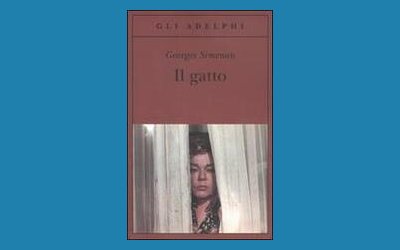 Il gatto