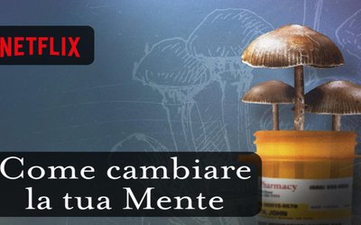  “Come cambiare la tua mente”: il documentario Netflix tratto dal libro di Michael Pollan 