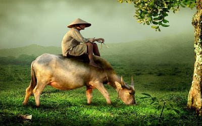 Giufà: riassunto e analisi di due novelle di Giuseppe Pitrè