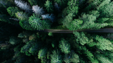Il rapporto tra uomo e natura in Henry David Thoreau