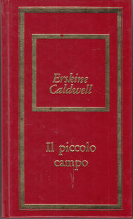 Il piccolo campo