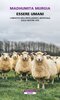 Copertina del libro Essere umani. L'impatto dell'intelligenza artificiale sulle nostre vite 